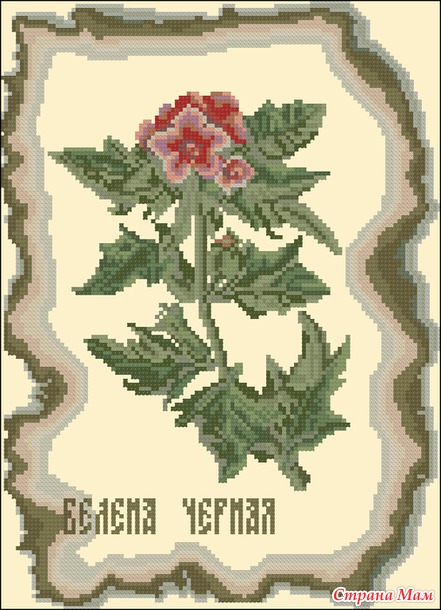 *Сенрия "Колдовская книга", схемы от Золотого Руна