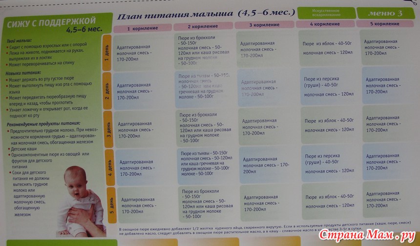 Можно 6 месячному. Меню ребёнка в 4 месяца на искусственном вскармливании с прикормом. Рацион питания ребенка в 6 месяцев с прикормом. Рацион питания 6 месячного ребенка на гв. Меню ребёнка в 6 месяцев на искусственном вскармливании с прикормом.