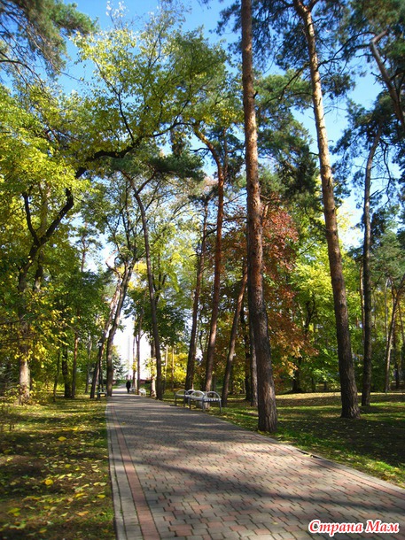 Курортный Миргород