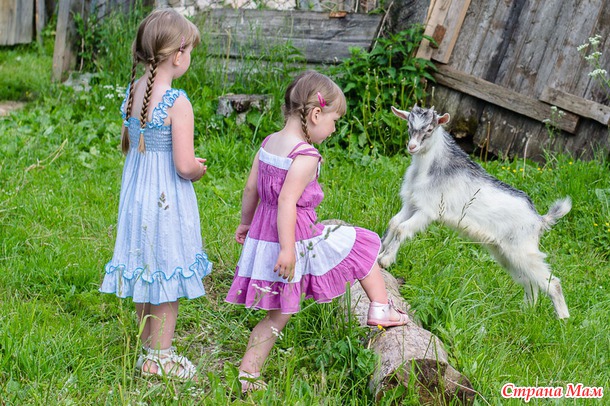 У бабушки в деревне