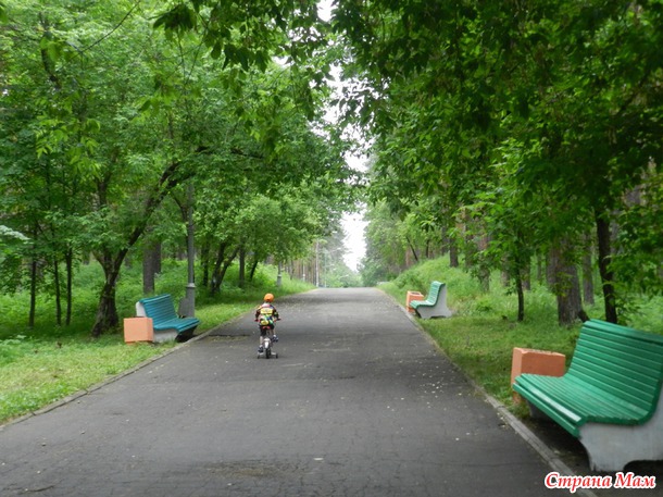 Парк, любимый парк