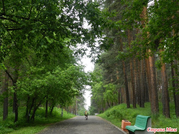 Парк, любимый парк