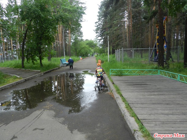 Парк, любимый парк