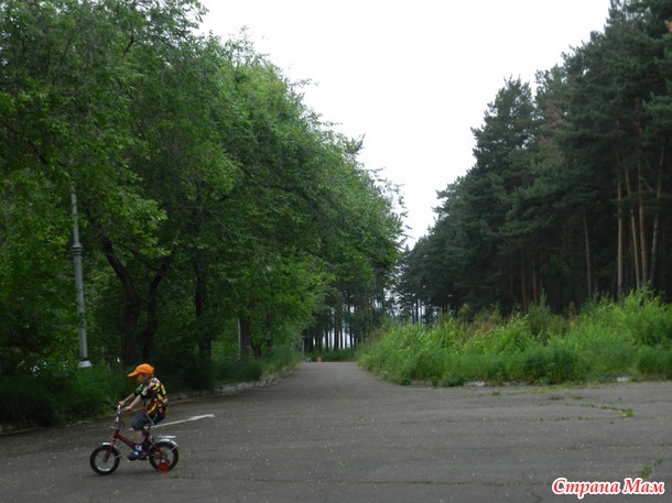 Парк, любимый парк