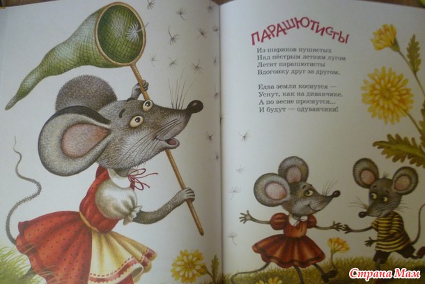 Много книжек не бывает