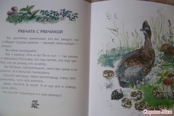 Много книжек не бывает