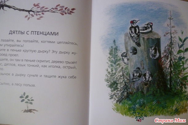 Много книжек не бывает