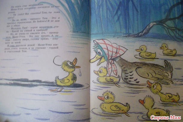 Много книжек не бывает