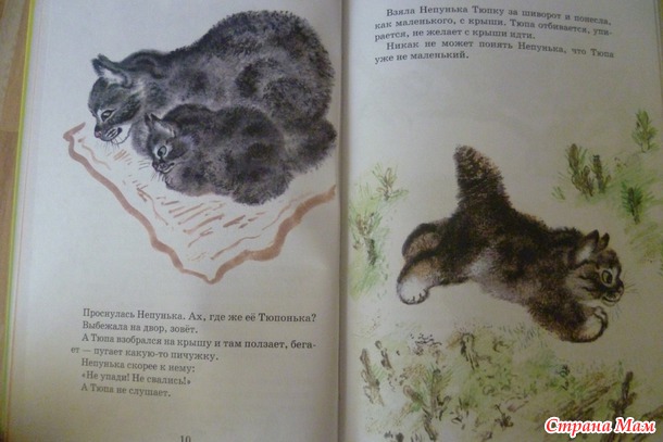 Много книжек не бывает