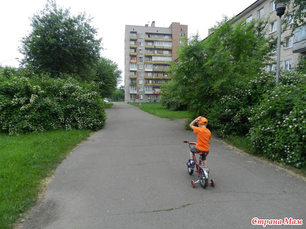 Парк, любимый парк
