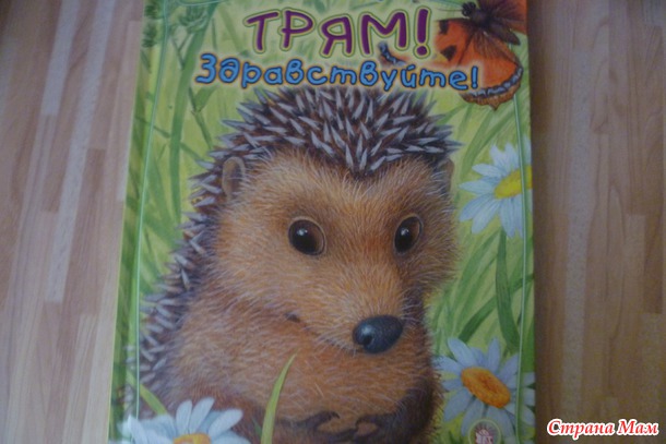 Много книжек не бывает