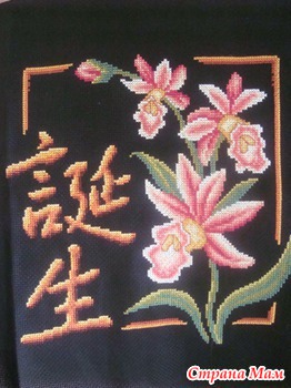 MarusikI