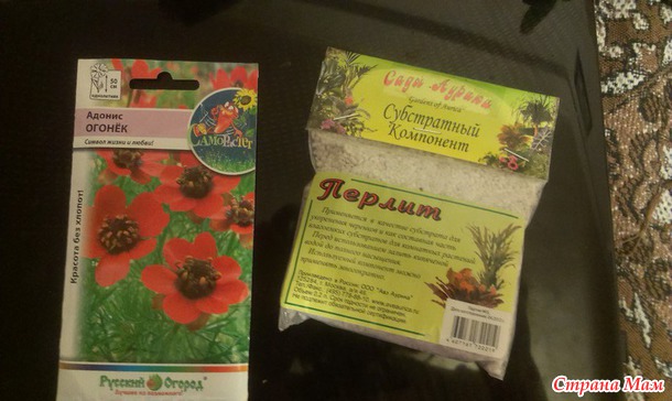 Приятный сюрприз и помогите опознать
