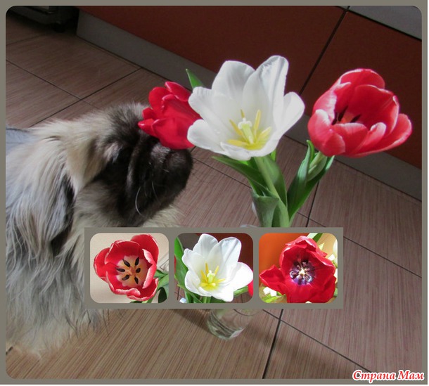 С наступающим:-)))
