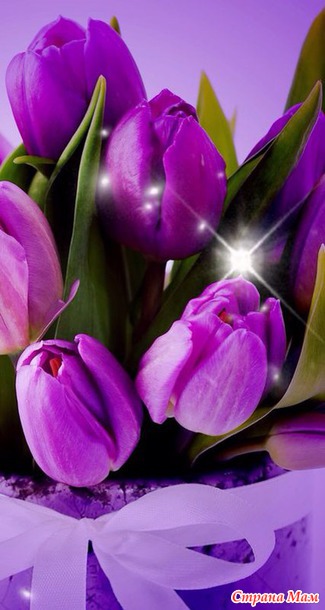 Вот они - мы))