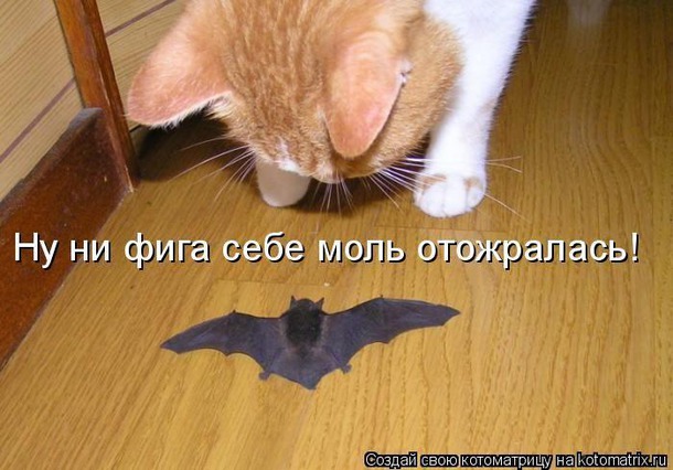  )))