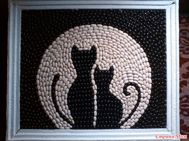 Фасолевые коты