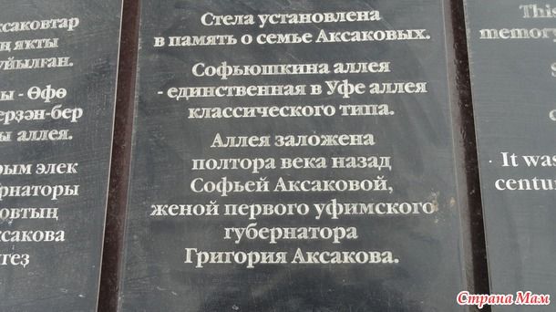 Как мы в Уфе болели за Торпедо или встреча ягодок СМ-2