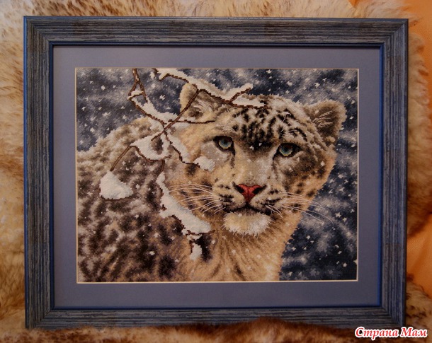 Dimensions "Snow Leopard"