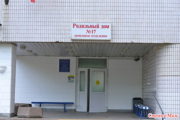 К нам опять прилетел аист!