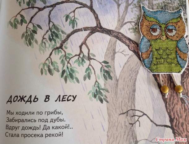 Совиное трио