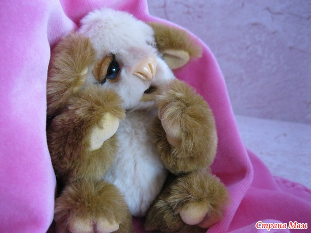 Мишутка Коала