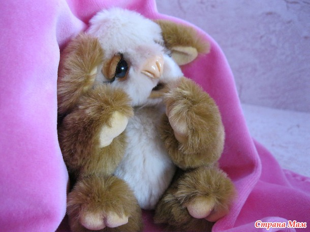 Мишутка Коала