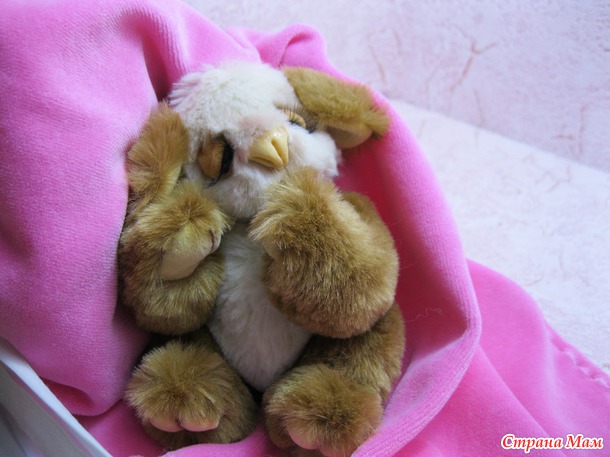 Мишутка Коала