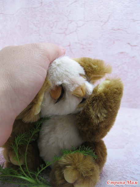 Мишутка Коала