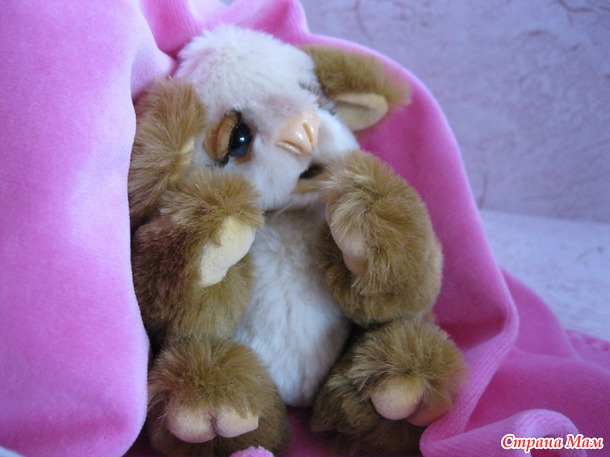 Мишутка Коала