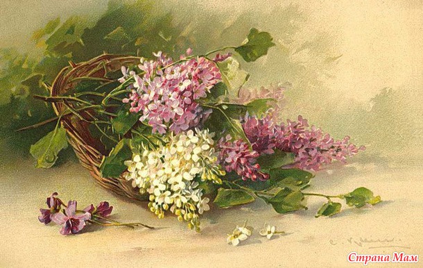 Картинки для декупажа "Сирень"