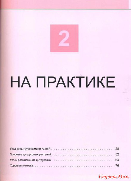 Шаг за шагом к собственным райским цитрусовым кущам. (Книга помощник)