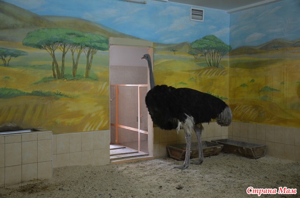 Новосибирский зоопарк