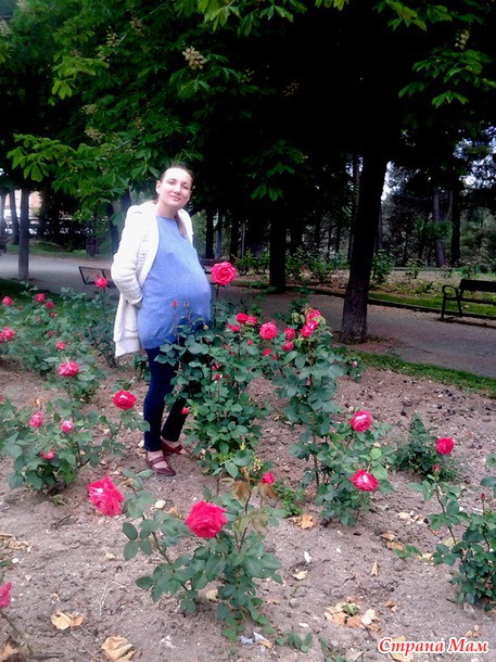 Розы много фото!!!