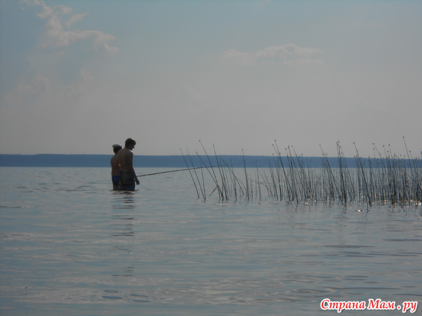 Рыба в озере плещеево