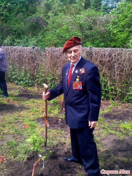 Сирень дружбы - Марш мира
