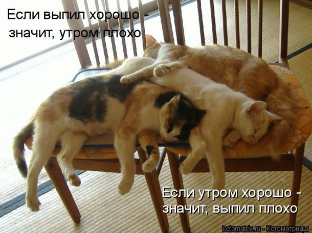Сон наших любимых. Добавляйте свои фото.