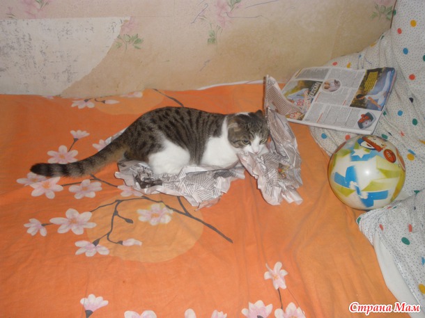 И к нам посылочка добралась!!!)