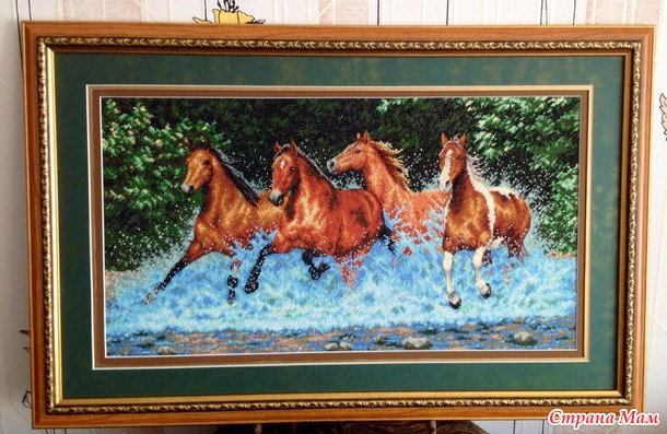 *Мои скакуны