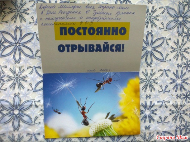 Отчёт о письмах-поздравлялка х!!!
