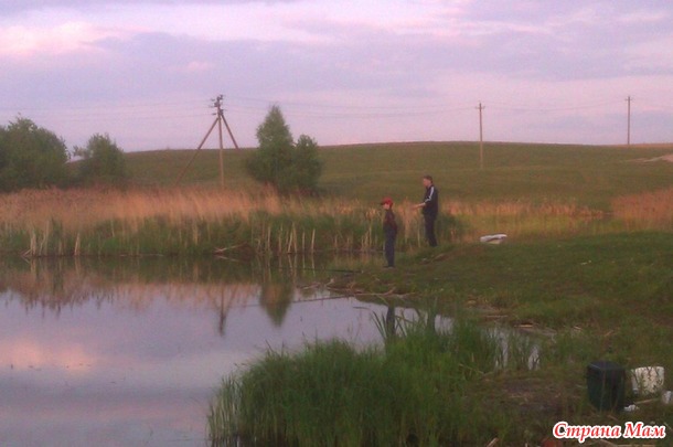 Приманка на карася