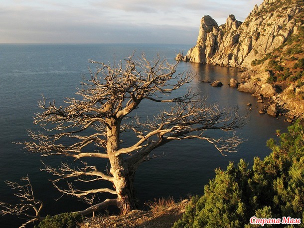 Отдых в Крыму. Прошу объяснить, как добраться до Алупки из Симферополя.