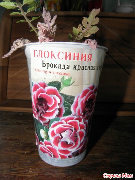 Помогите распознать.