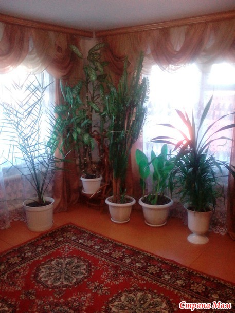 Райские кущи...
