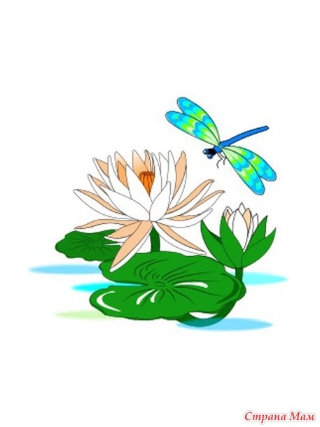 Детские раскраски пейзажей, цветов и природы.