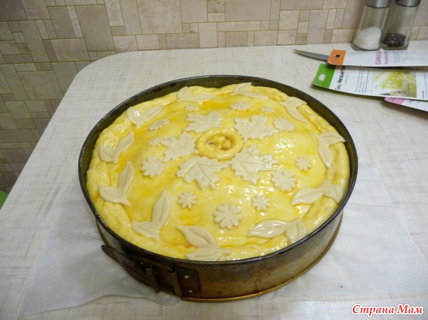 Курник, первый опыт.