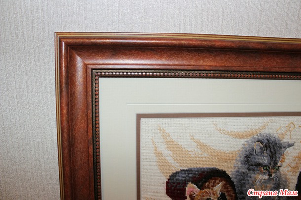 *Котики от Риолис и малинка от Алисы.
