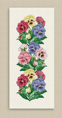Pansy border, EMS