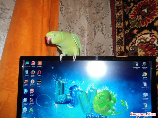 Наш Муня)