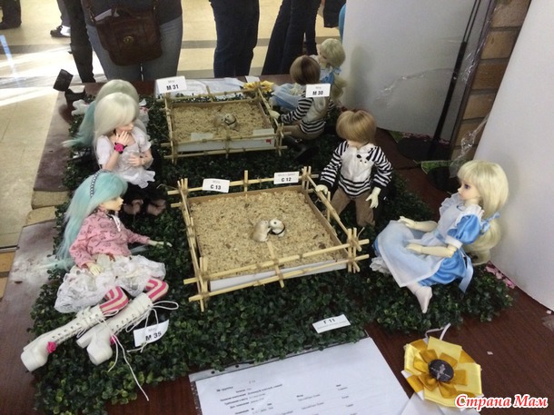 VIII BJD фестиваль